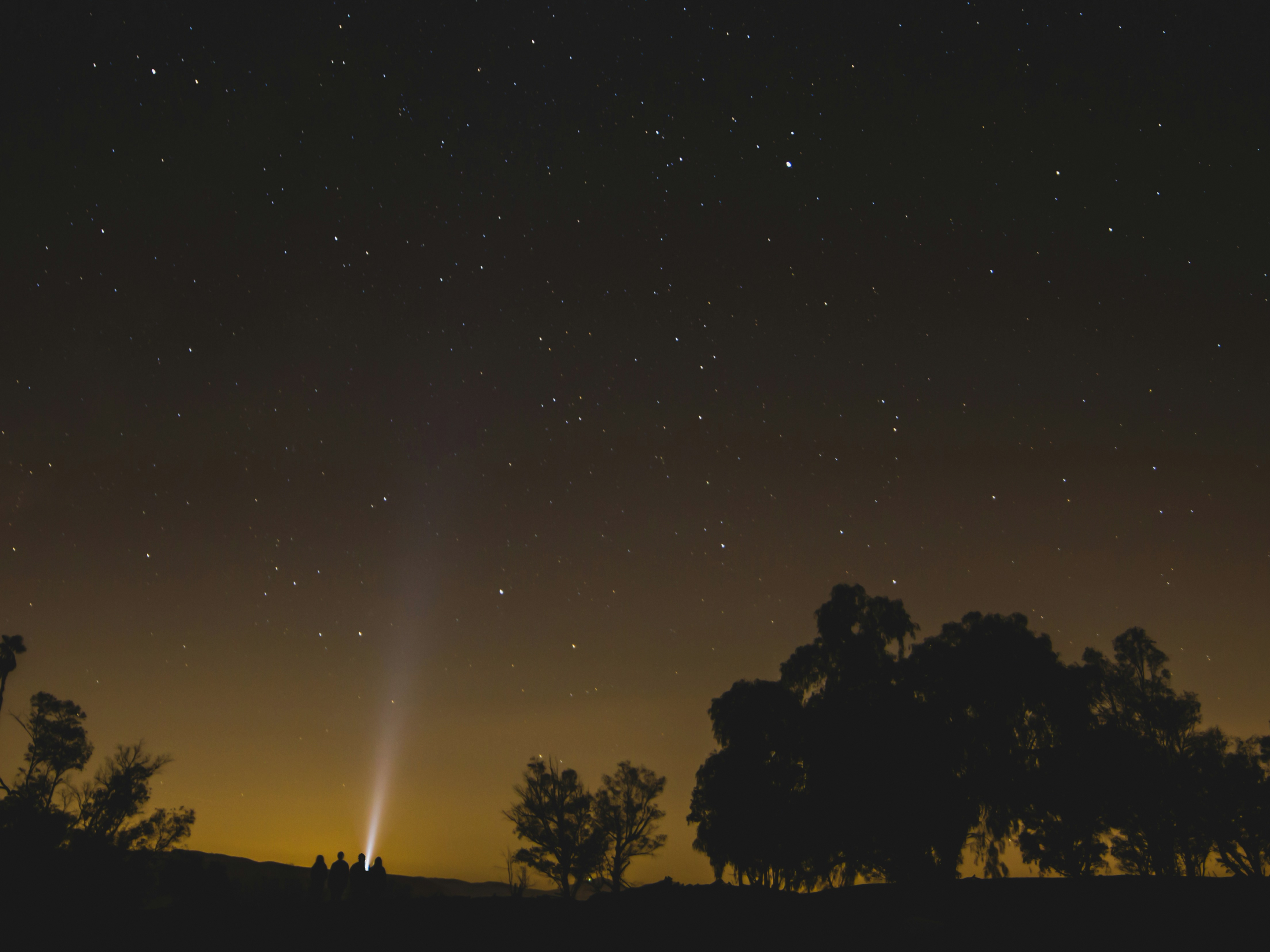 星空の下で光を見上げる人たちのシルエット。夜の探索や思考の広がりを象徴する風景。